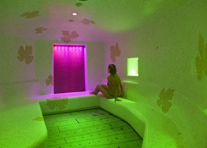 Hotel San Giorgio Terme 4*