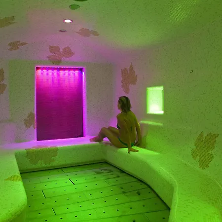 Hotel San Giorgio Terme 4*