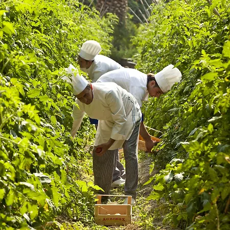 San Giorgio Terme فندق